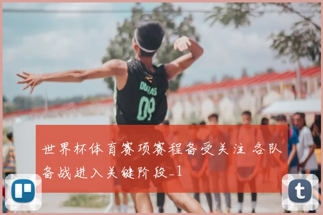 世界杯体育赛项赛程备受关注 各队备战进入关键阶段_1