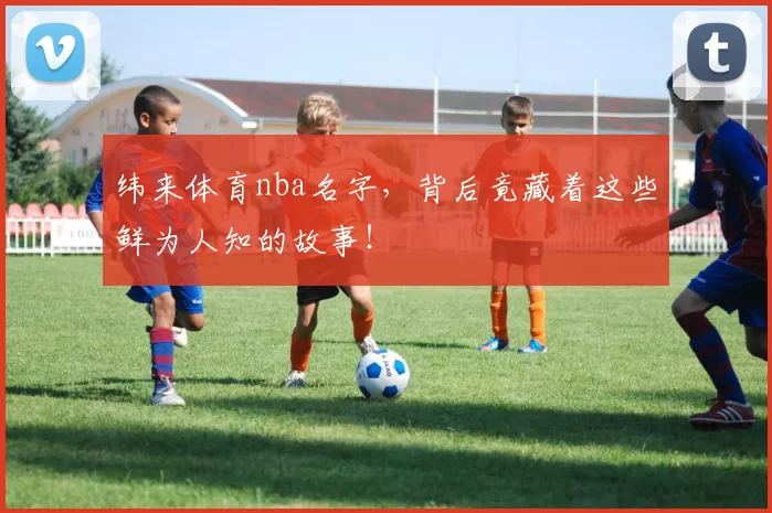 纬来体育nba名字,背后竟藏着这些鲜为人知的故事!