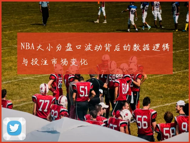 NBA大小分盘口波动背后的数据逻辑与投注市场变化