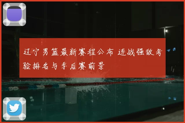 辽宁男篮最新赛程公布 连战强敌考验排名与季后赛前景